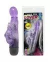 GIVE YOU A KIND OF LOVER VIBRADOR CON RABBIT LILA 10 MODOS