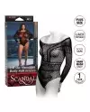 CALEX SCANDAL TEDDY PLUS SIZE