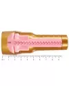 FLESHLIGHT PINK LADY STAMINA TRAINING UNIT