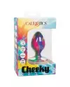 CALEX CHEEKY MEDIUM TIE DYE PLUG ANAL