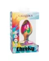 CALEX CHEEKY LARGE TIE DYE PLUG ANAL