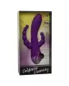 CALEX LONG BEACH BOOTYLICIOUS PURPLE