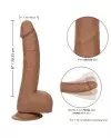 CALIFORNIA EXOTICS SILICONE STUDS 2032 CM BROWN