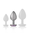 INTENSE PLUG ANAL METAL CON CRISTAL VIOLETA TALLA M