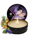 SHUNGA SECRET GEISHA FRUTAS EXOTICAS